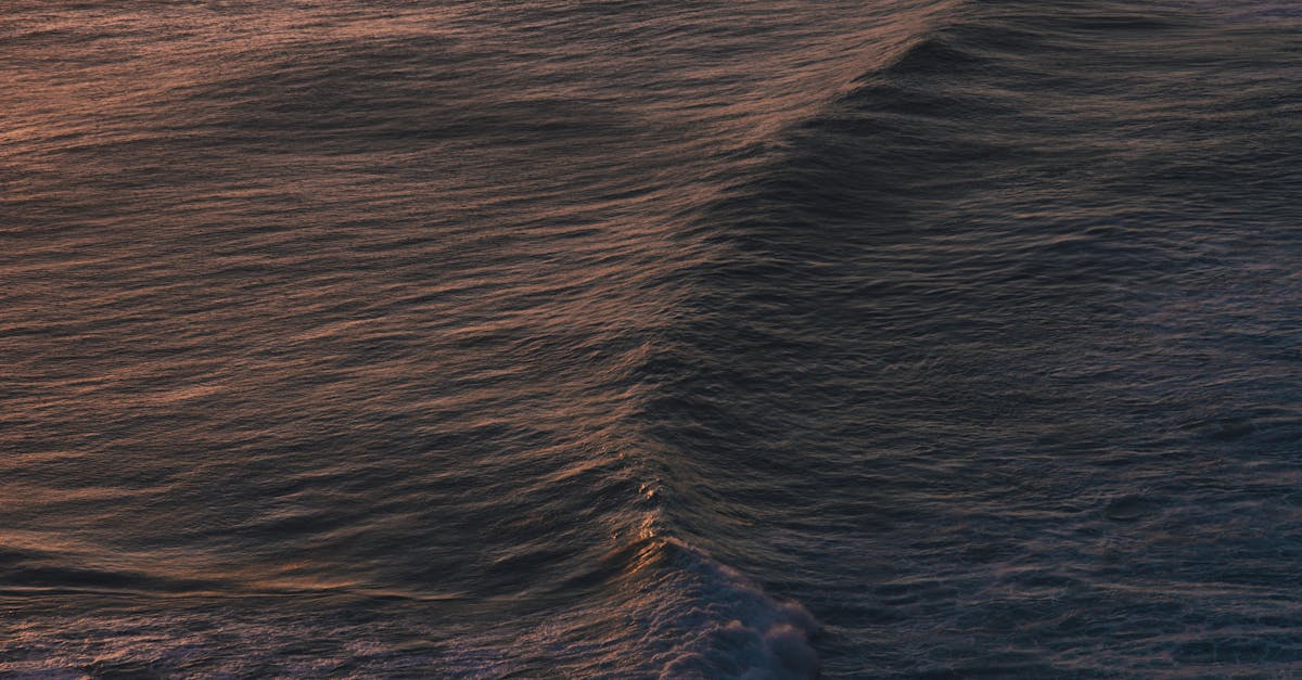 Analyzing Surf Conditions: Key Factors for Advanced Surfers