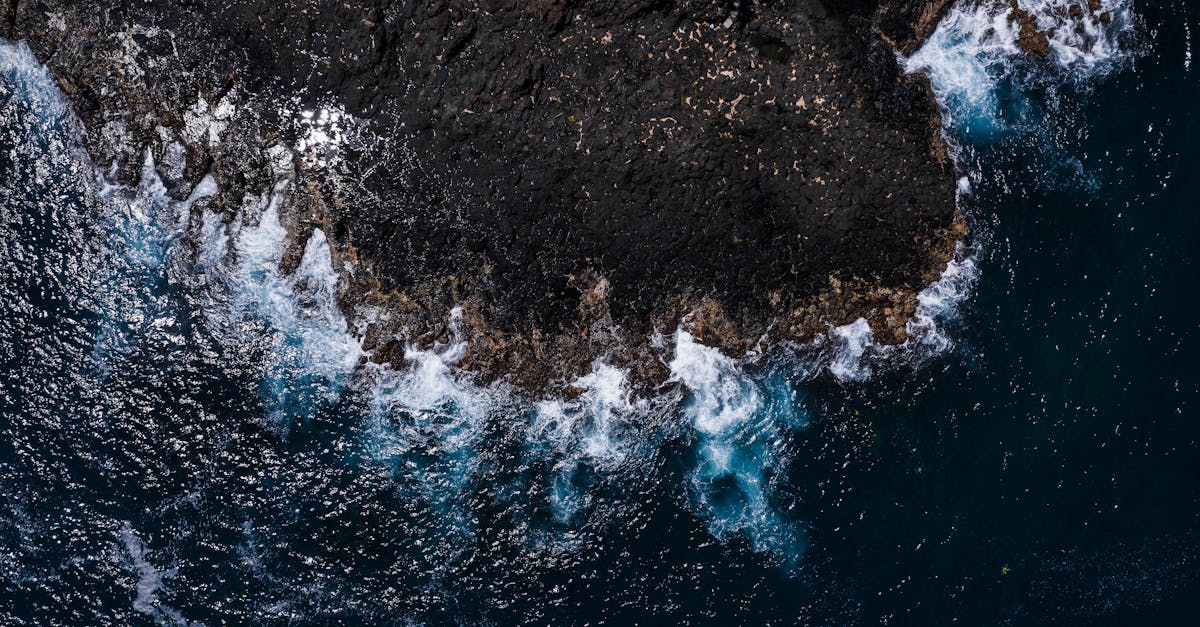 Celebrating Galungan: A Guide to Balinese Traditions