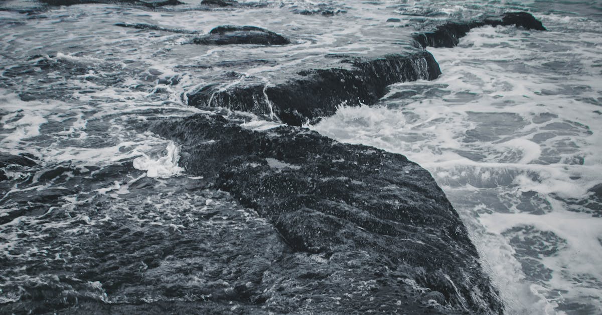 Day Trips to the Best Beaches Beyond the Surf Spots