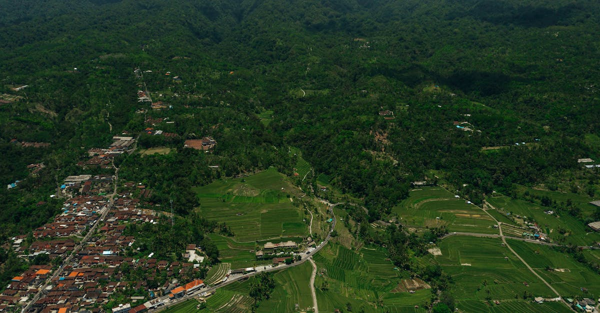 Discovering the Art of Balinese Music in Cultural Rituals