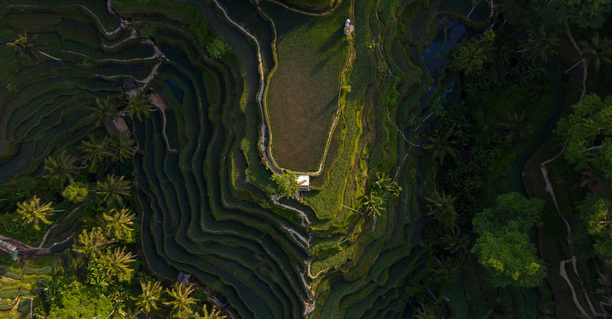 Elegant Beachfront Villas with Modern Amenities in Bali