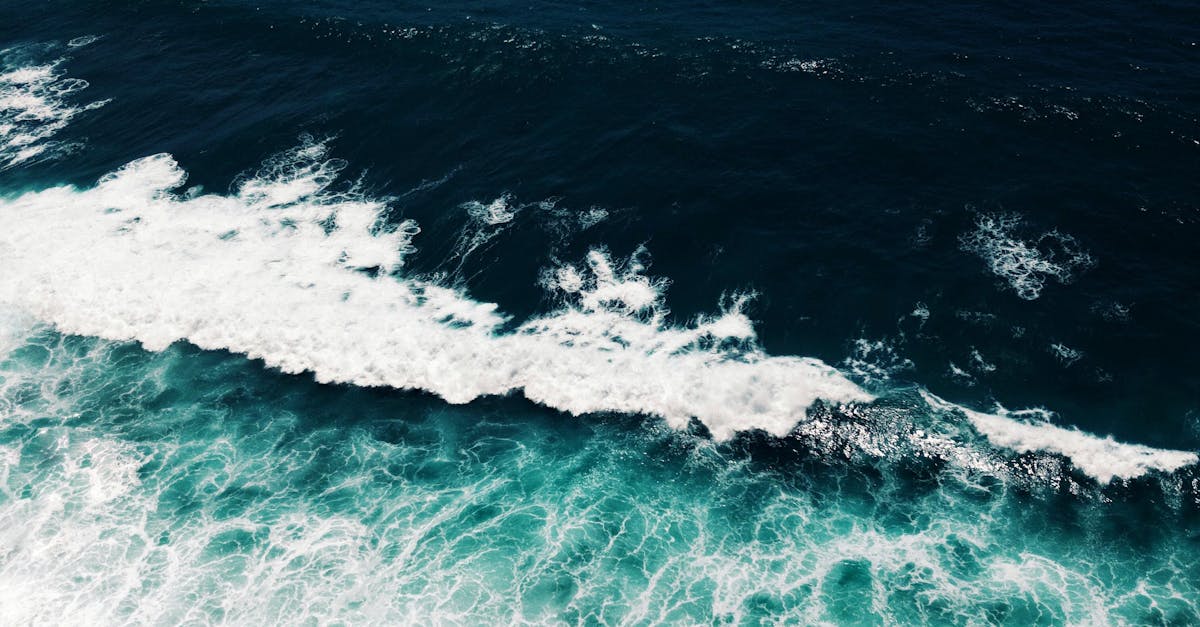 Exploring the Rituals of Nyepi Day: A Balinese Day of Silence