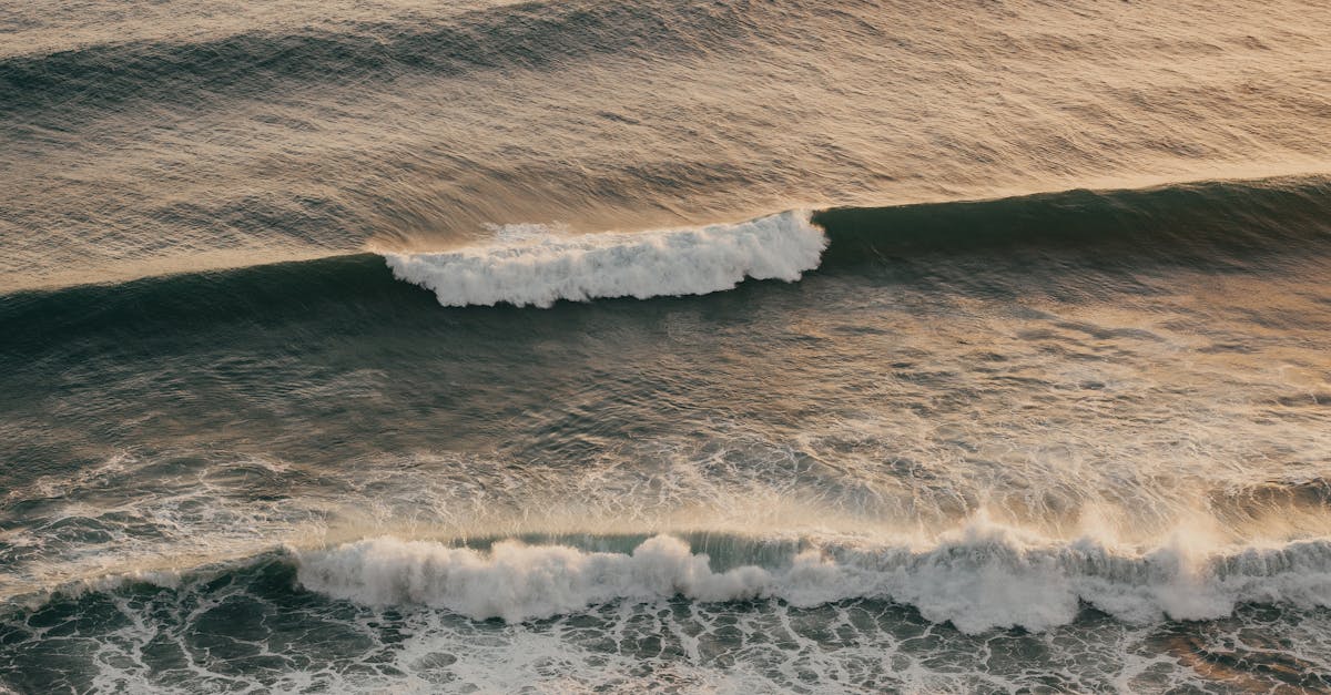 How to Choose the Right Budget Hostel for Your Bali Surf Camp