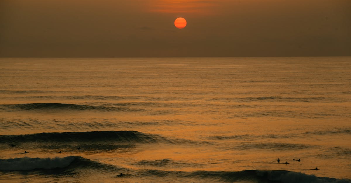 Renting a Board: What to Look For in Bali