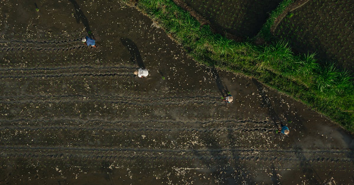 Surfing Etiquette: Keeping Yourself and Others Safe