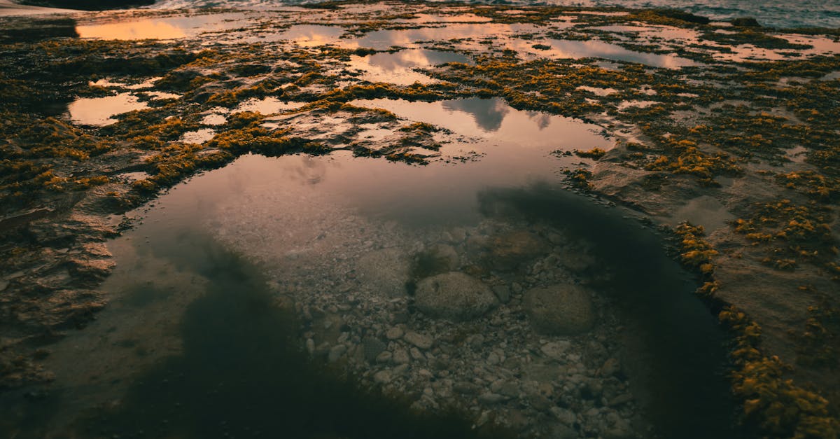 The Benefits of Camping at Surf Camps Over Traditional Accommodations