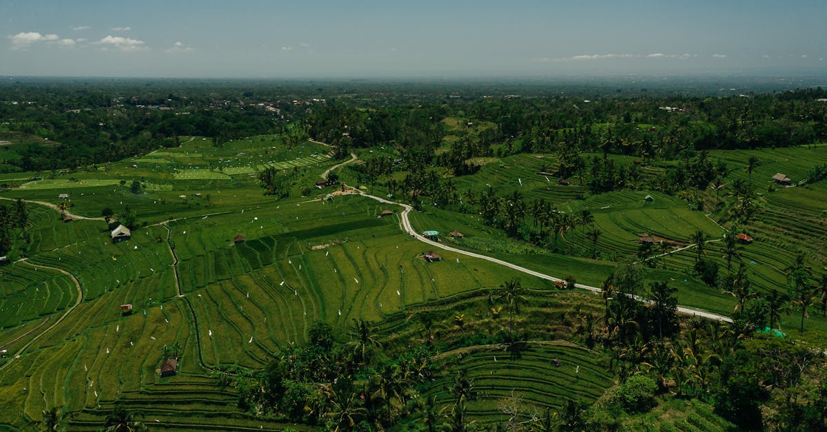 The Influence of Local Surfer Legends on Bali's Surf Scene