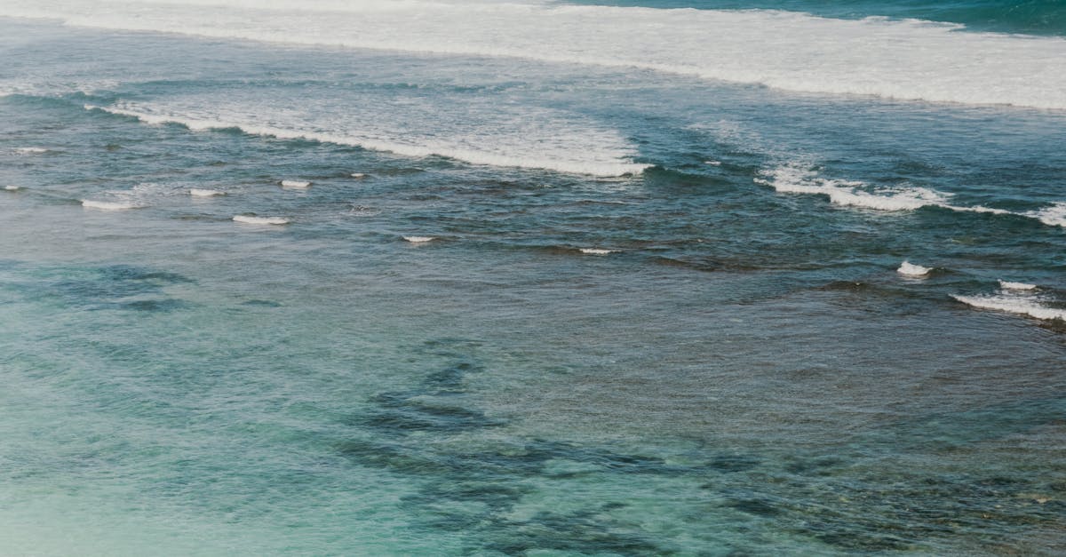 The Ultimate Guide to Shared Surf Houses in Bali