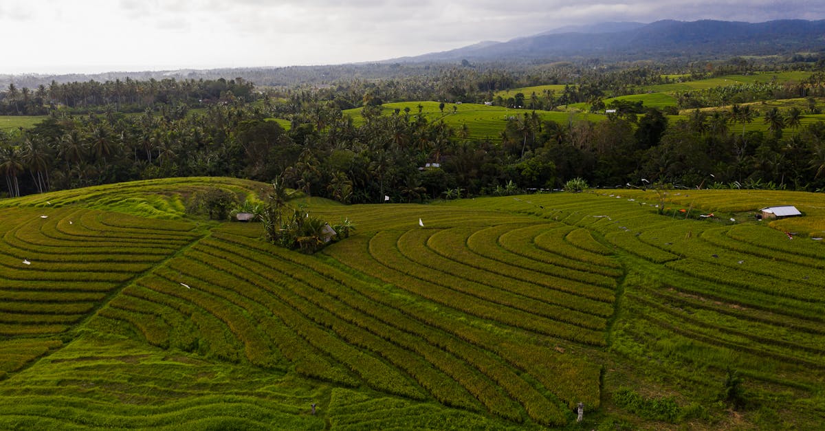 Top 10 Luxury Resorts for Surf Camps in Bali