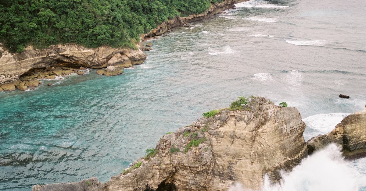 Understanding Ocean Conditions for New Surfers