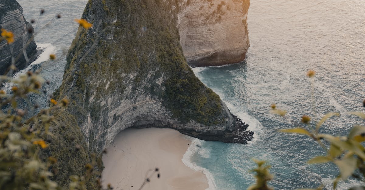 What to Expect from Camping at a Bali Surf Camp