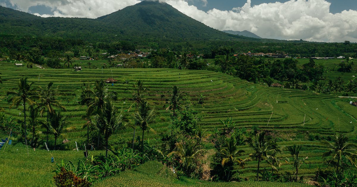 Why Canggu is a Must-Visit for Surf Enthusiasts